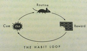 the-habit-loop